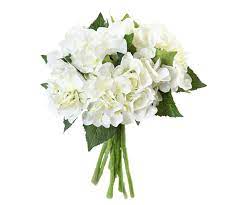 Schöne transparent vase, das der form des ausgewählten straußes angepasst ist. Desktop Hintergrundbilder Blumenstrausse Weiss Blumen Hortensien