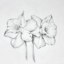 Narcissus Daffodil Tattoo Birth Flower Tattoos Narcissus Flower Tattoos
