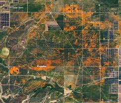 Never choose the wrong color again. Earth Matters