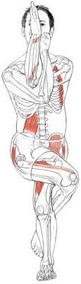 Yogaholics For Those Who Love The Effects Of Yoga Eagle Pose Yoga Anatomy Yoga Muscles