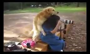 EPIC ANIMAL SEX FAILS - Funniest animal porn Compilation ever seen 4 ||  TIS ||