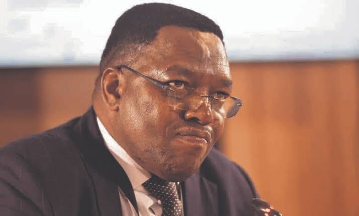 Masemola appears before Parliament's ad hoc committee | The Witness