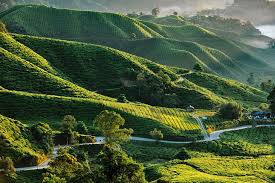 Hotels from budget to luxury. 12 Best Places To Visit In Malaysia Planetware