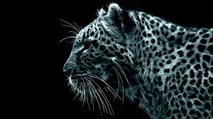Crazy Cool Wallpapers 72 Pictures Find your perfect hd wallpaper for your phone, desktop, website or more!