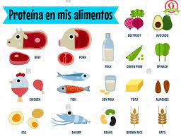 Cuantos Gramos De Proteina Hay En Mis Comidas Healthy Happyft