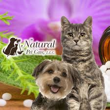 Did you use this practice before joining pet assure? Dr Sagrera Is Committed To Alternative Medicine As A Way To Improve The Health Of Her Patients By The Most Natural And N Natural Pet Care Natural Pet Pet Care