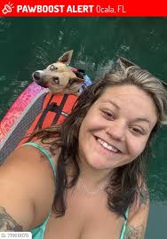 There was a Small tan dog with a blackish collar