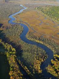 1 507 tykkäystä · 2 puhuu tästä · 100 oli täällä. High Tor Wildlife Area Go Finger Lakes