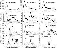 A method // proceedings of the first european bat detector workshop. Sampling Period Size And Duration Influence Measures Of Bat Species Richness From Acoustic Surveys Skalak 2012 Methods In Ecology And Evolution Wiley Online Library