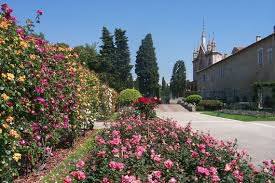 Jardin Du Monastere De Cimiez Parks And Gardens Nice Cote D Azur French Riviera Climbing Roses The Monks