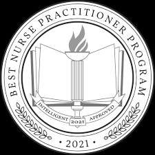 Additional aprn roles include the. The Best Online Nurse Practitioner Degree Programs Intelligent