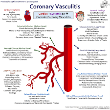 Image result for Vasculitis