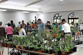 Here is the 2019 medal for the san antonio cactus & xerophyte society.… San Antonio Cactus Xerophyte Society Show Sale 25 Apr 2019