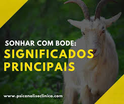 Sonhar com bode: 10 significados principais - Psicanálise Clínica