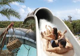 However, due to the ongoing pandemic, the water. Guests On Crush N Gusher At Disney S Typhoon Lagoon Water Park C Disney Run To The Magic
