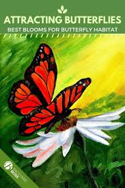 It has a section about best butterflies, host plants and nectar plants broken down by regions of the us including hawaii, alaska and parts of canada. The Best Flowers For Your Butterfly Garden Beautiful Flowers Garden Pollinator Garden Design Butterfly Garden