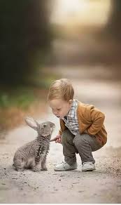 Funny Animal With Children A Professional Photographer Is Very Smart In Taking Pictures The Following Is A Collection Cute Animals Animals Animals Beautiful