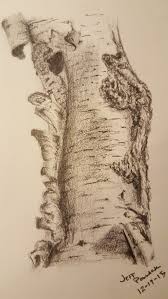 Birch Tree Bark And Stone Coupon Pencil Drawing Of Birch Tree Bark Print 5x7 Tree Drawings Pencil Tree Tattoo Drawings Tree Drawing