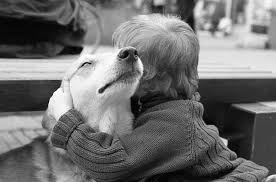 We did not find results for: Les Maladies Transmises Par Les Animaux De Compagnie Pediatre Online