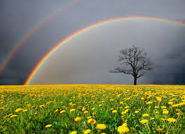 Insurance regulation in the isle of man (iom) broadly meets international standards, taking into account the scope of business carried out on the island. The Isle Of Man Sunshine On A Rainy Day Ifc Review
