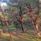 Hike Barbados: Barclays Park event image