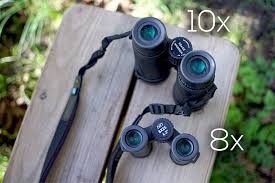 Also includes models available and where to buy rspb binoculars. How To Choose Binoculars For Birdwatching