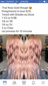 Matrix Biolage Plant Based Hair Color Chart Beautiful Rose Gold Hair Color In 2020 Hair Color Formulas Aveda Hair Aveda Hair Color