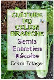 Pin On Cultiver Les Legumes Du Potager