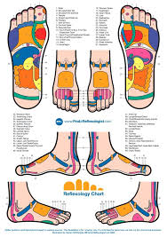 The Museum Outlet Charts Of Reflexology Chart A3 Poster Print