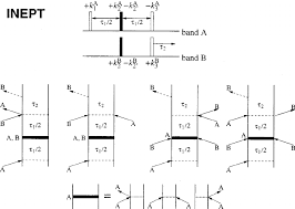 In this study, the inept nmr experiment was analytically investigated by using product operator theory for weakly. The Inept Experiment The Closed Bars Represent Pulses In Nmr And The Download Scientific Diagram