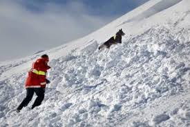 The most common types of commercial insurance are property, liability and workers' compensation. Sasongens Forsta Lavin Har Utlosts I Are