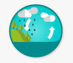 Water Cycle Clipart Water Cycle No Background Hd Png Download Is Free Transparent Png Image To Explore More Similar Hd Imag In 2021 Clip Art Png Images Water Cycle