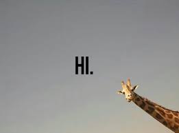 images?q=tbn:ANd9GcRg9u8etRvkijpWGj0tq7A7fKy5lc6mJULJtw&usqp=CAU