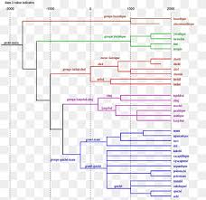 Rhere valentina lingerie photoshoot sagami. Tree Model Indo European Languages Linguistics Cladistics Mayan Languages Angle Text Plan Png Pngwing