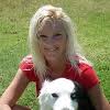 Maybe you would like to learn more about one of these? Wiggles Wags Pet Resort Reviews Glassdoor