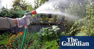 Garden poems written by contemporary poets. Six Ways To Save Water In Your Garden Live Better The Guardian