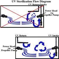 Aquarium Pond Uv Sterilization How To Use A Uvc Sterilizer Aquarium Aquarium Landscape Aquarium Filter