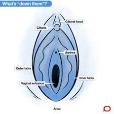 That extra barrier can help avoid infection (though nowhere near so, pubic hair does provide a natural defense against stis, but that's not really how shaving creates this risk. Do I Need To Shave My Pubic Hair Before Having Sex