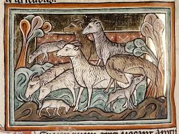 Medieval Bestiary Sheep Gallery Sheep Art Medieval Art Art
