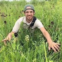 Image result for Chamaecrista wittei