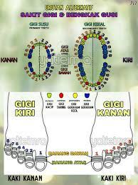 Check spelling or type a new query. Rupa Rupanya Boleh Rawat Sakit Gigi Guna 2 Bahan Guna Teknik Urut Alternatif