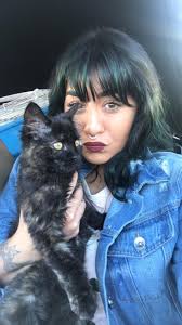 Brown and black tabby kitten taken by employee