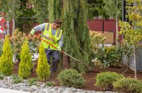 Landscape Management - GRO - Landscaping & Remodeling