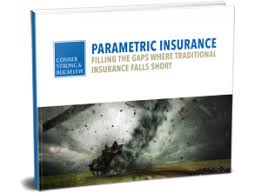 Parametric Insurance – Filling the Gaps Where Traditional ...