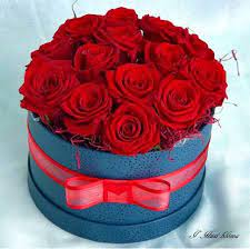 I Husi Bloma Flower Delivery Shop Iceland