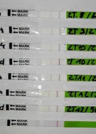 Wann hast du deinen eisprung? Ovulationstest Eisprung Fruchtbarste Tage Bestimmen