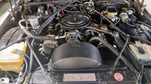 Image result for Heather Firemist 1985 GM