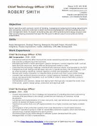 chief technology officer resume samples