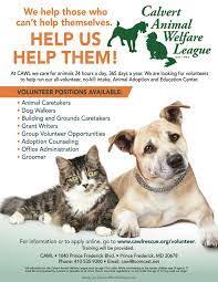 Volunteers are the heart of heartland animal shelter! Volunteer