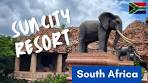 Sun City Resort – South Africa's Ultimate Family Getaway